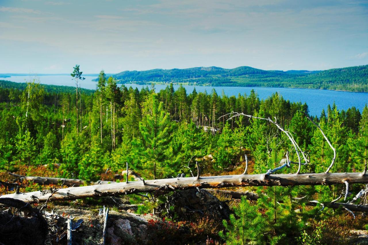 B&B Gillhov & Camping Svenstavik Kültér fotó