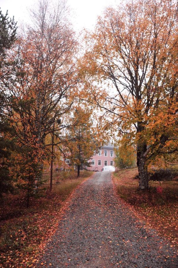 B&B Gillhov & Camping Svenstavik Kültér fotó