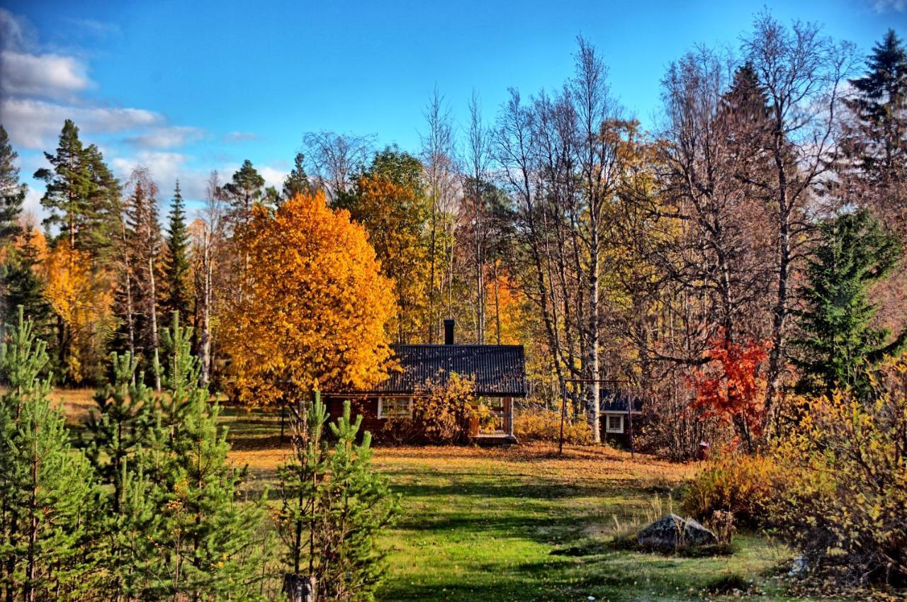 B&B Gillhov & Camping Svenstavik Kültér fotó