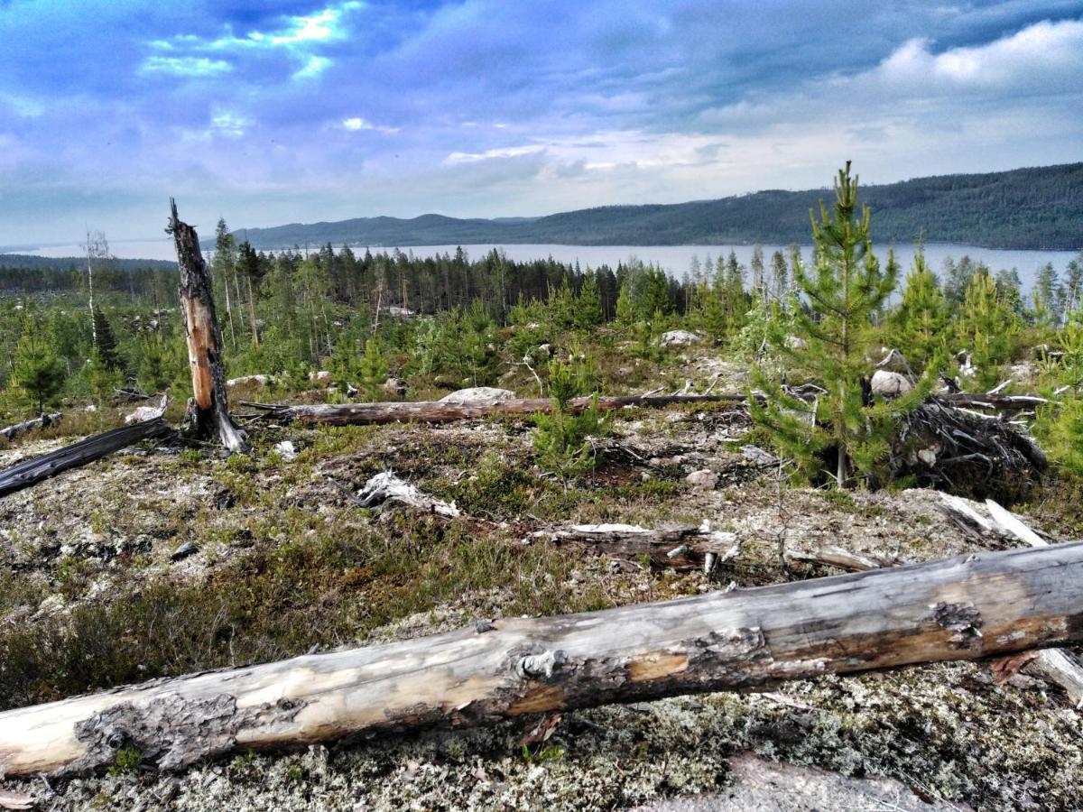B&B Gillhov & Camping Svenstavik Kültér fotó